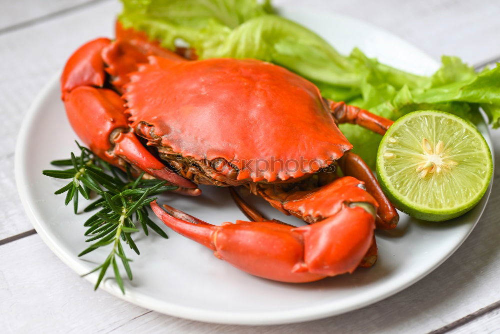 Similar – Image, Stock Photo Food photo II