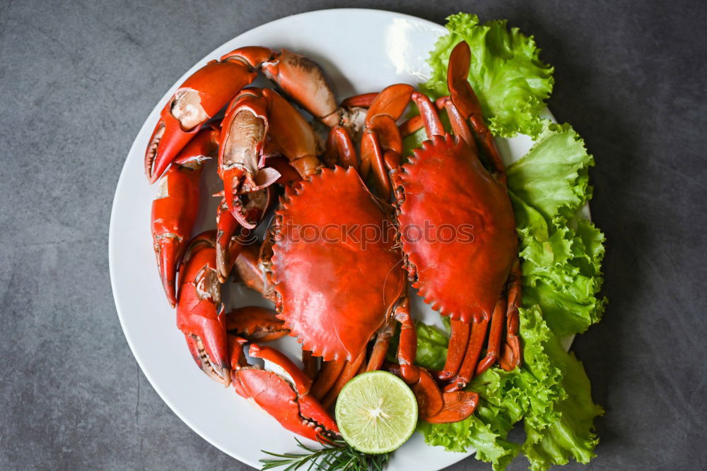 Image, Stock Photo Food photo II