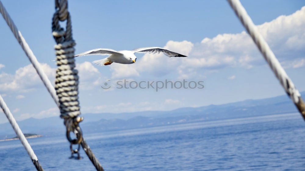 Similar – Image, Stock Photo rig Croatia Kornati Murter