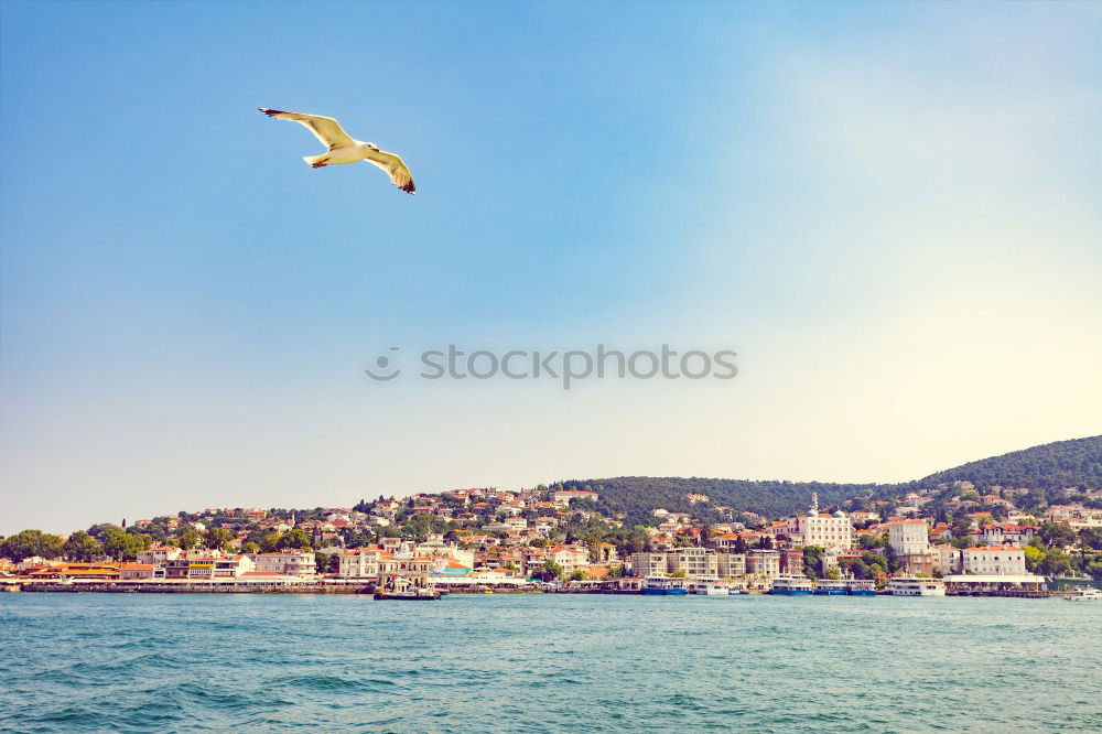 View of Marseille