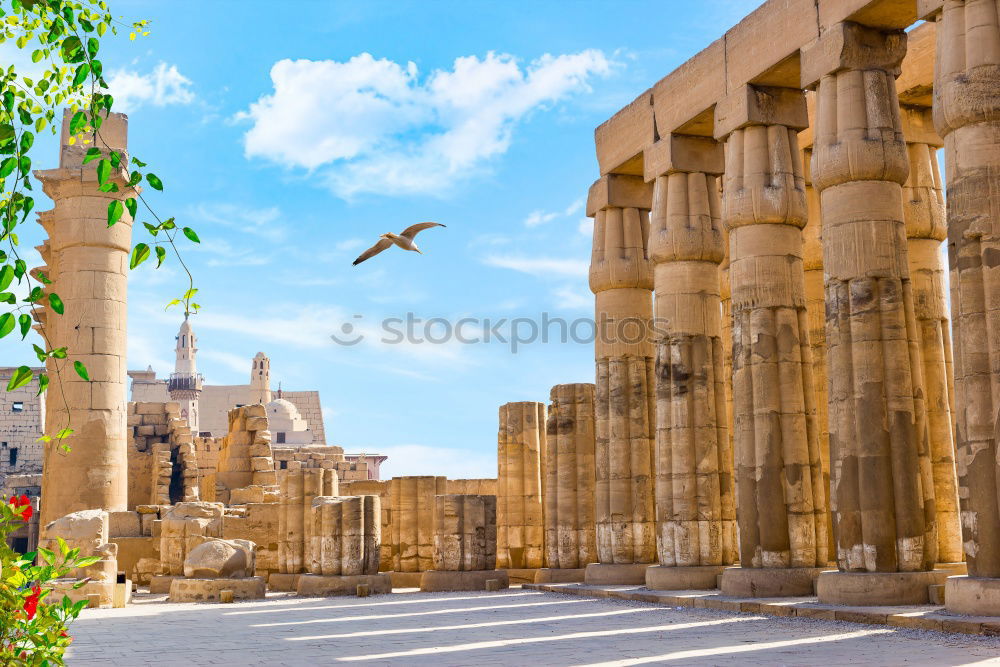 Similar – Image, Stock Photo Valley of the Temples in Agrigento, Sicily, Italy