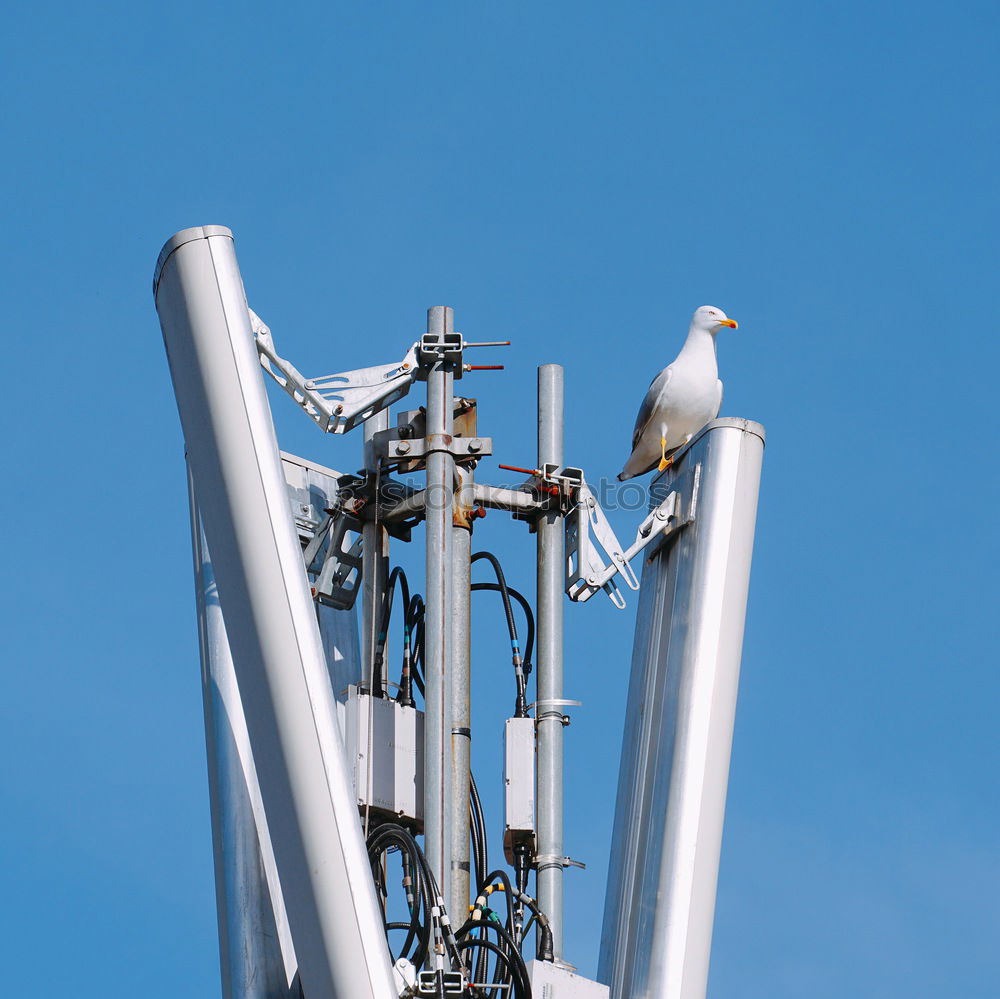 Similar – Image, Stock Photo High above with lighting