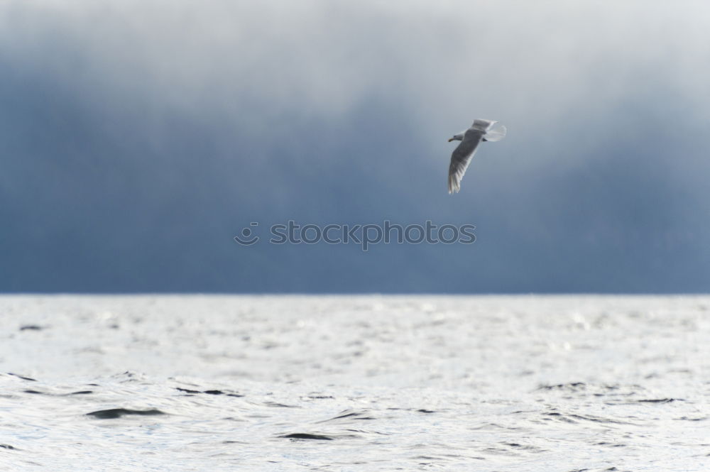 Similar – Vestmannaeyjar | Iceland