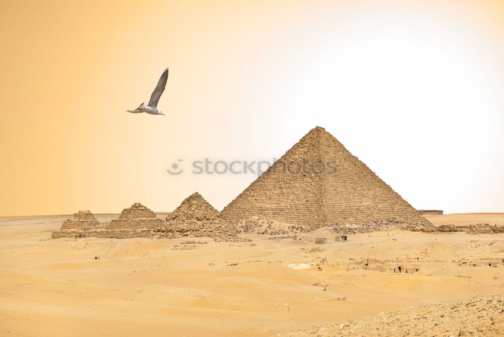 Similar – Foto Bild pyramide Ägypten