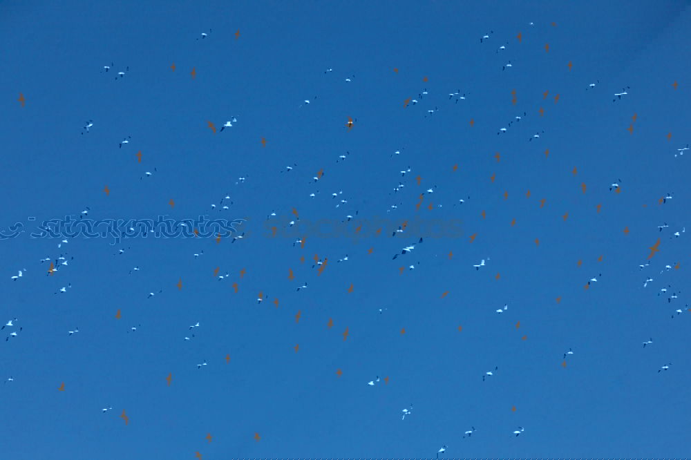 Similar – Foto Bild Aufbruch
