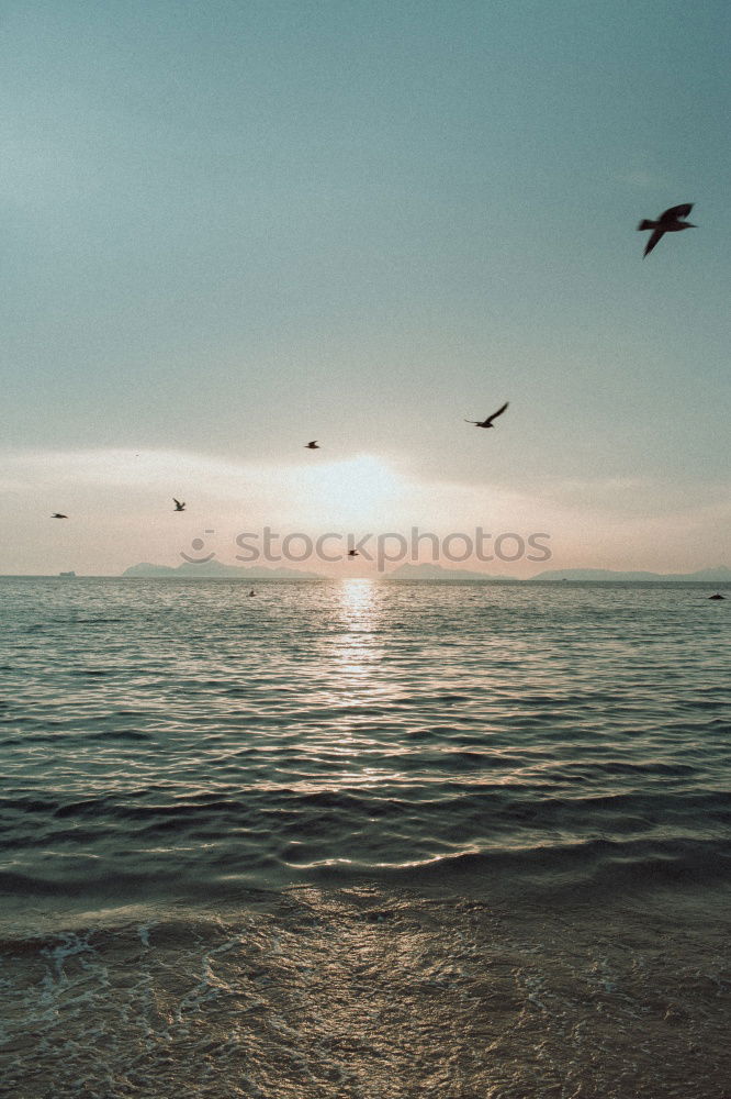 Similar – Image, Stock Photo Person on cliff on seashore