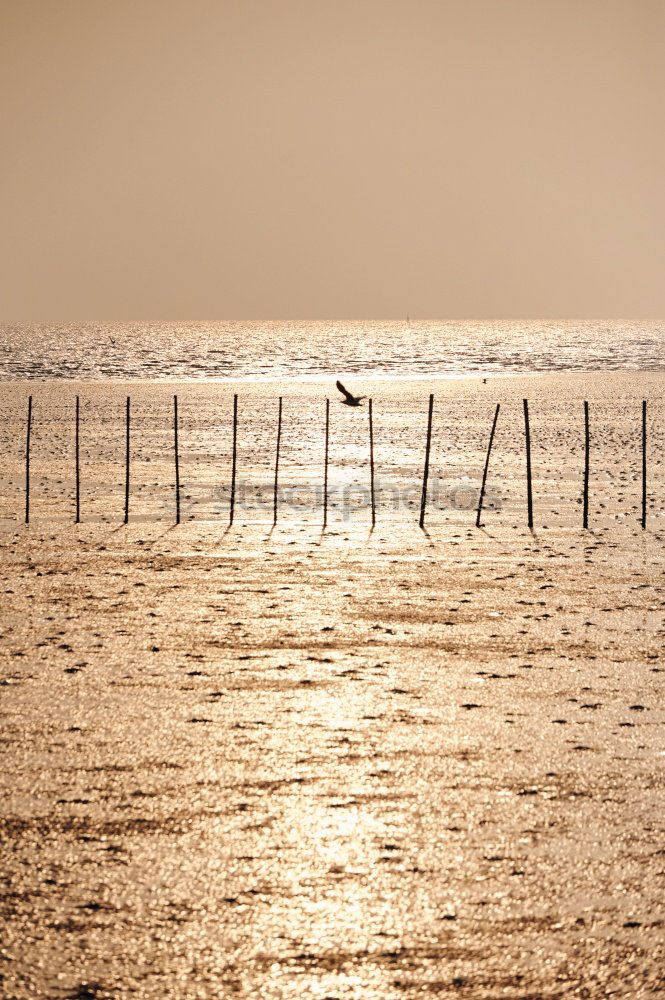 Similar – beach Beach Ocean Coast