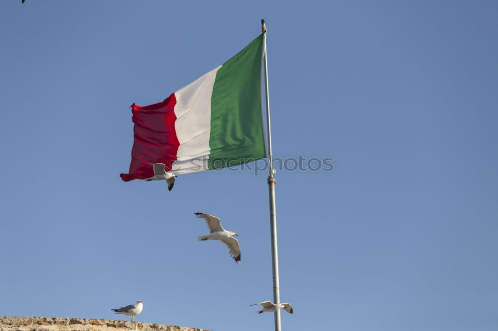 Similar – Image, Stock Photo Rome