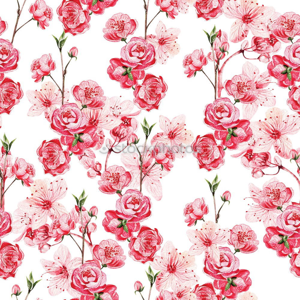 Similar – Image, Stock Photo Red autumn flowers and leaves frame