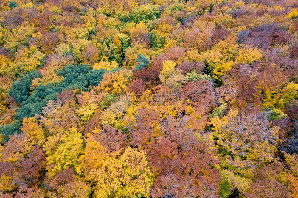 Similar – Schduagerter Landschaft