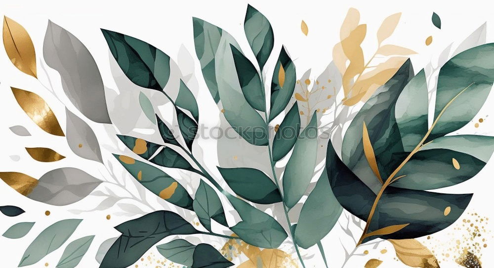 Similar – Creative flat lay of green botany plant on colorful background