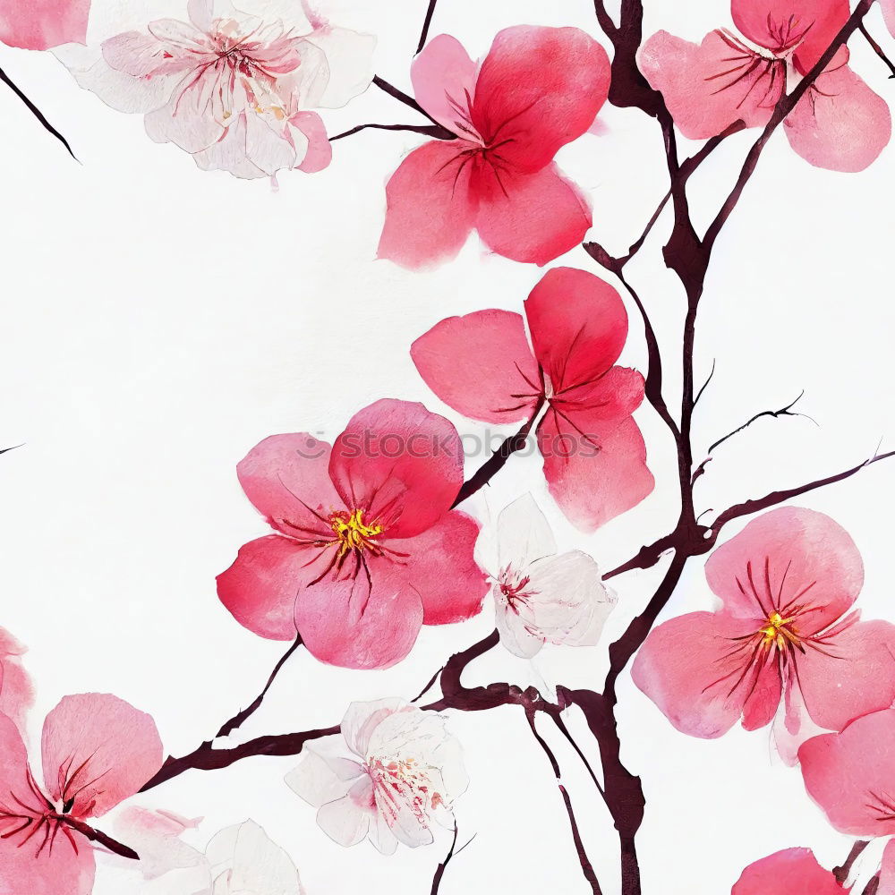 Similar – Image, Stock Photo pinkflowers Pink Blossom