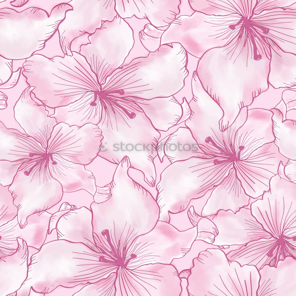 Similar – Pastell rosa Blumen Hintergrund