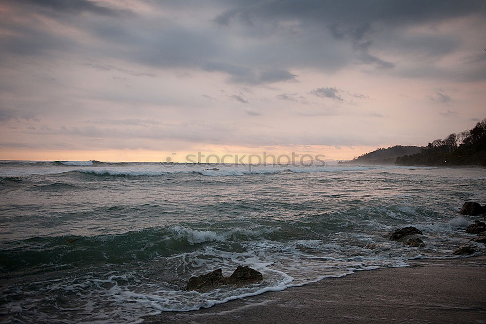 Similar – Image, Stock Photo roaming the beach 2 Nature