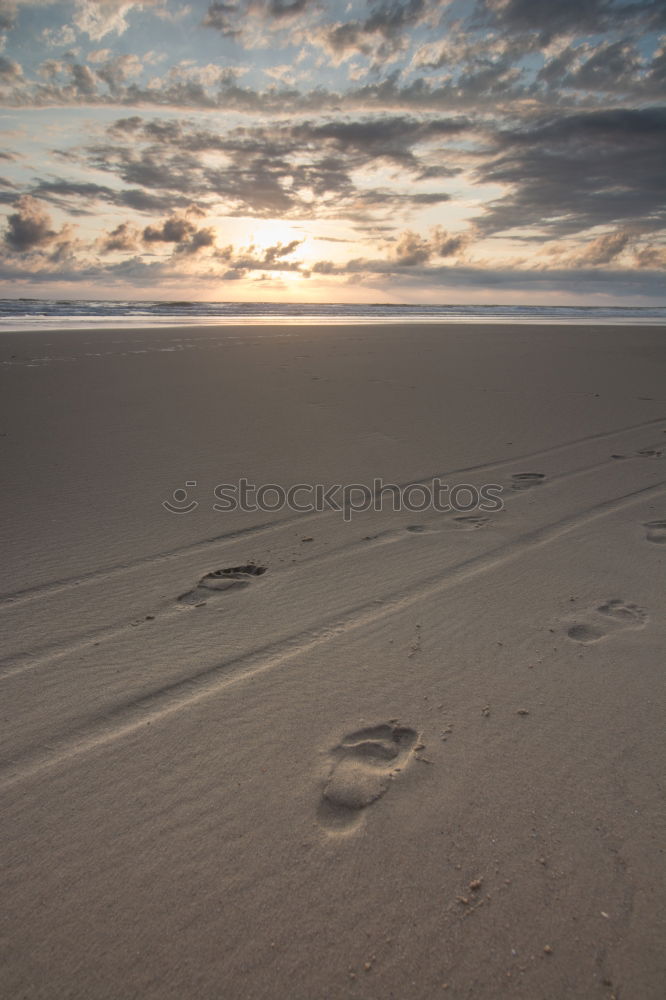 Similar – Image, Stock Photo Walking on sand. Lifestyle