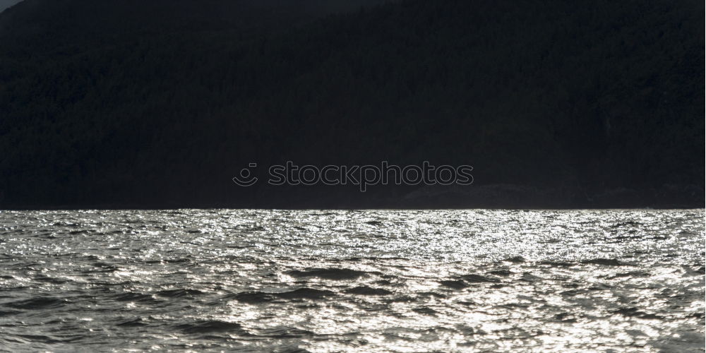 somber Dark Lake Dock Fog