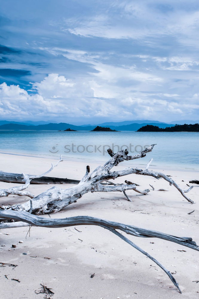 sailing beach…. Ocean