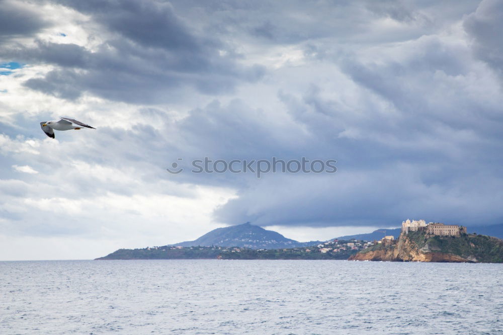 Similar – A lighthouse at the end of the world