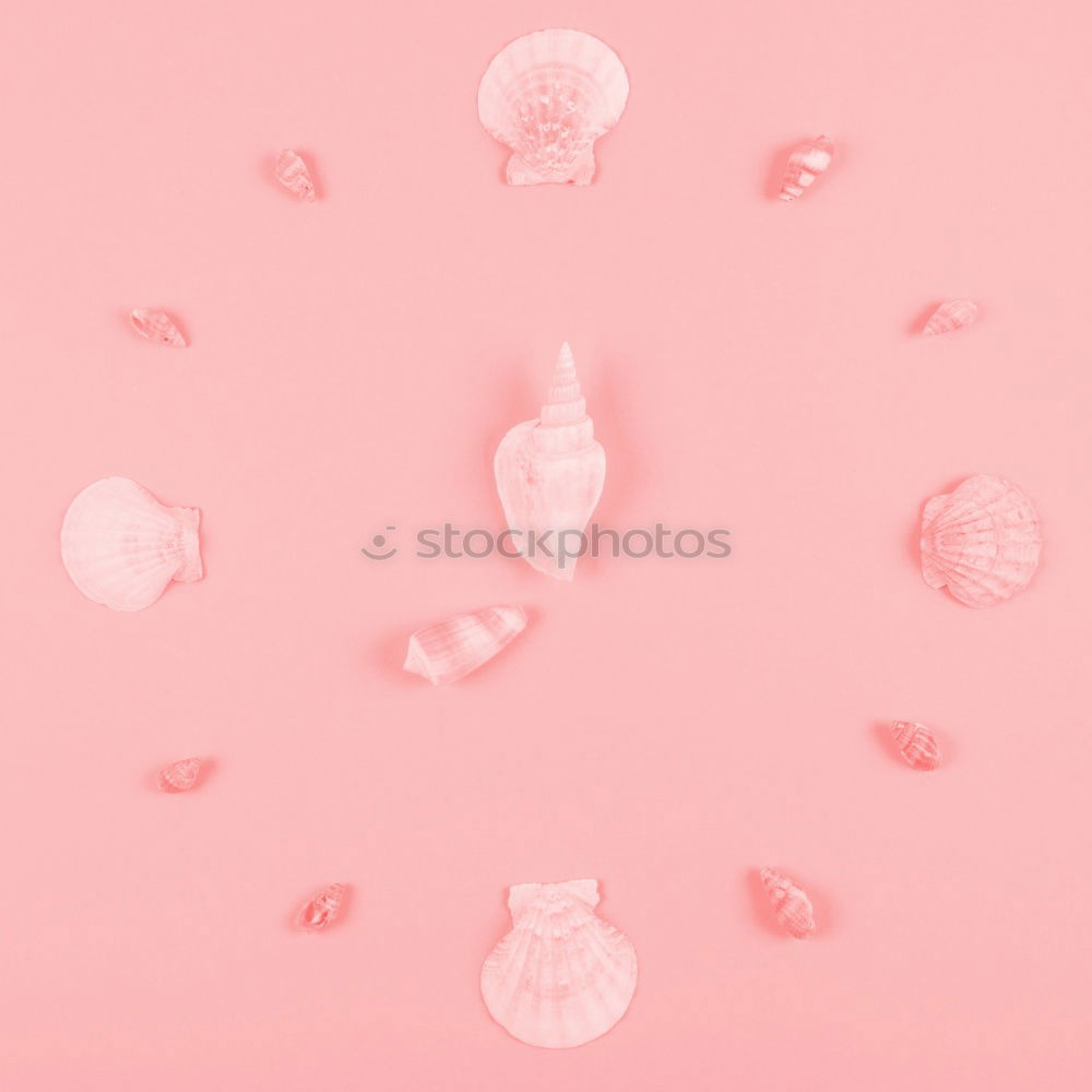 Similar – Image, Stock Photo Pink flowers on pink background