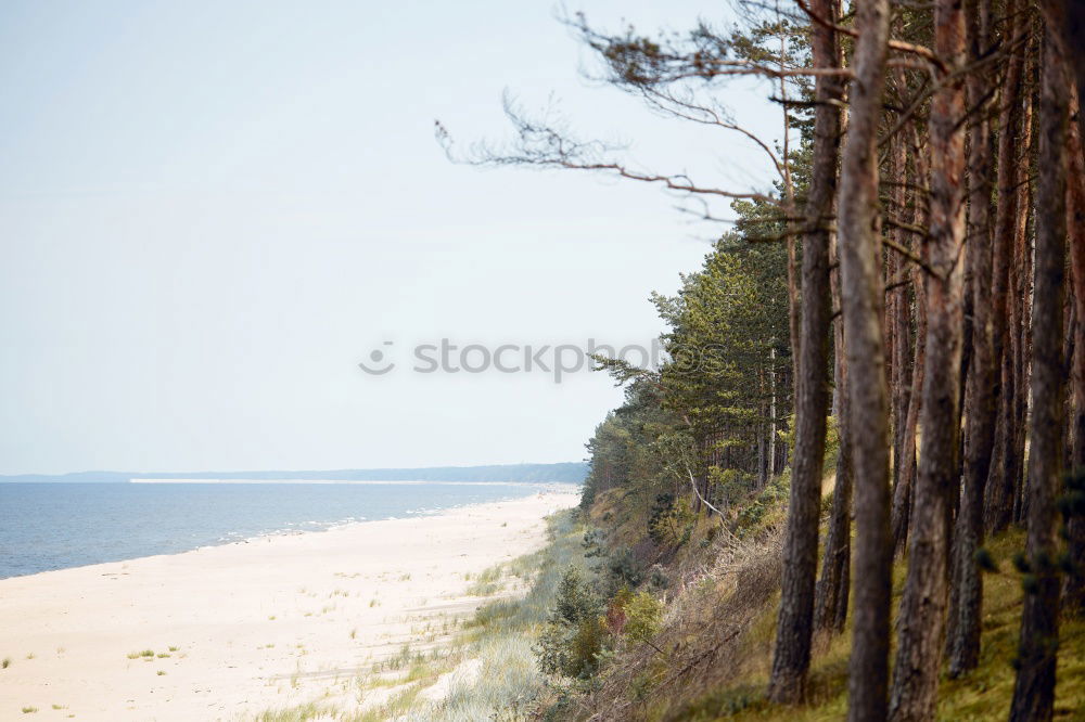 Similar – Image, Stock Photo western beach Environment