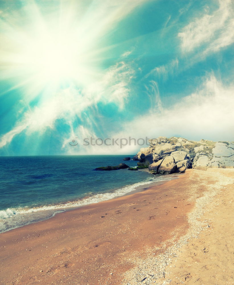 Similar – Image, Stock Photo Seagulls over beach and dunes