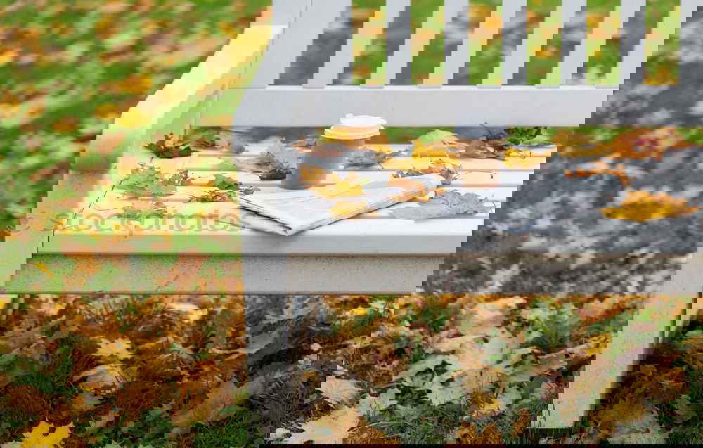Similar – Image, Stock Photo Autumn Whisper II
