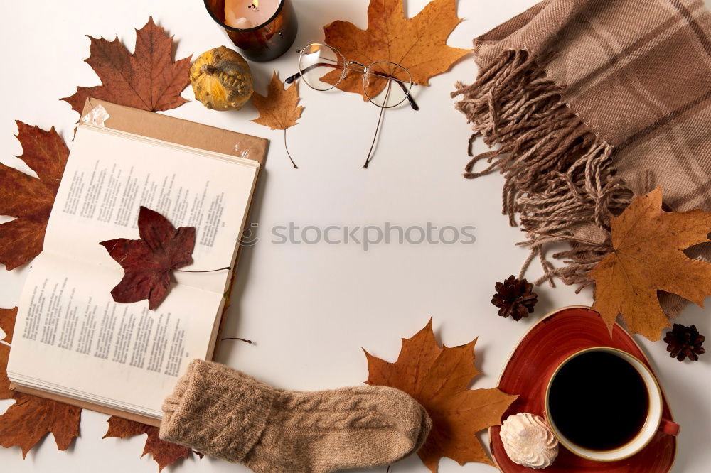 Similar – Image, Stock Photo baked whole round apple pie
