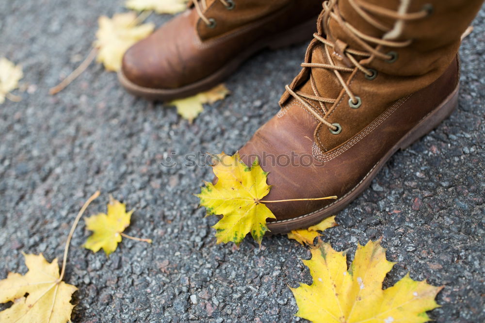 Similar – Foto Bild Der Herbst ist da feminin