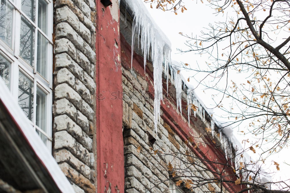 Image, Stock Photo Snow-covered roofs in St. Petersburg