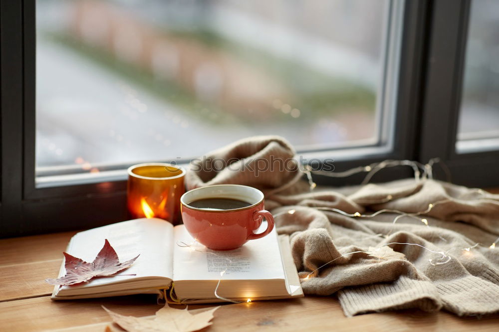 cozy autumn morning at home. Hot cocoa with marshmallows