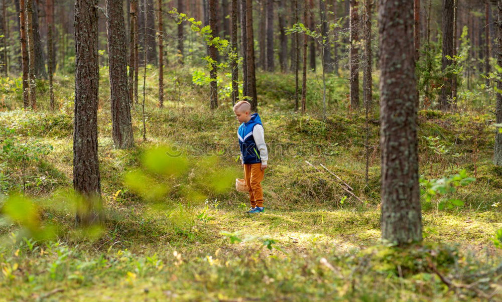 Similar – Foto Bild naturbursche Waldmensch