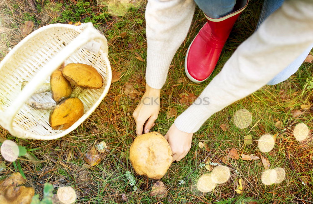 Potatoes with dirt