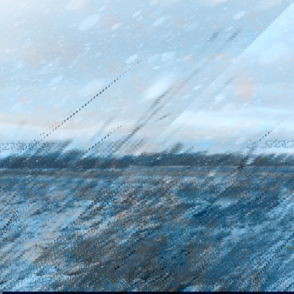 Similar – Image, Stock Photo Father Frost XIV Winter