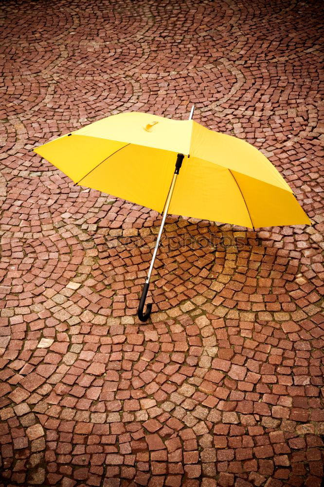 Image, Stock Photo rain or sun Lifestyle