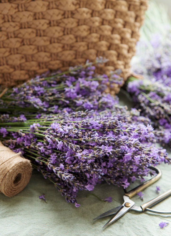 Similar – Gift and bouquet of lilacs on a wooden table