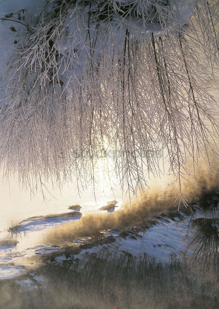 Similar – Image, Stock Photo Winter sunset in Sweden