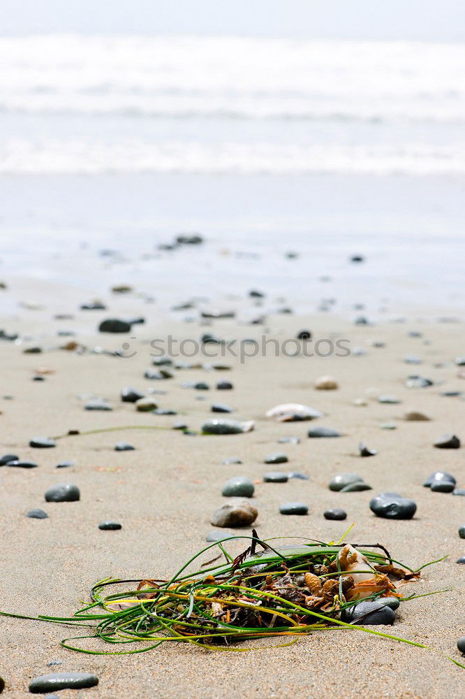 Similar – Foto Bild Eigenheimsiedlung Sand