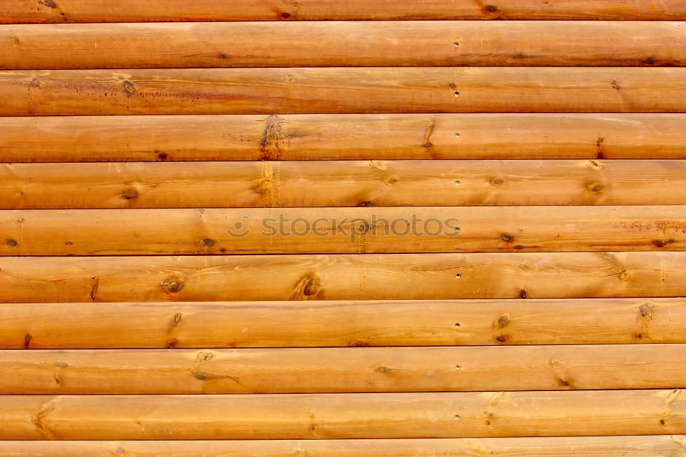 Similar – Image, Stock Photo wood Tree Wood Round