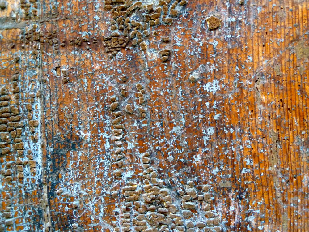 Similar – Oxidación Wand weiß