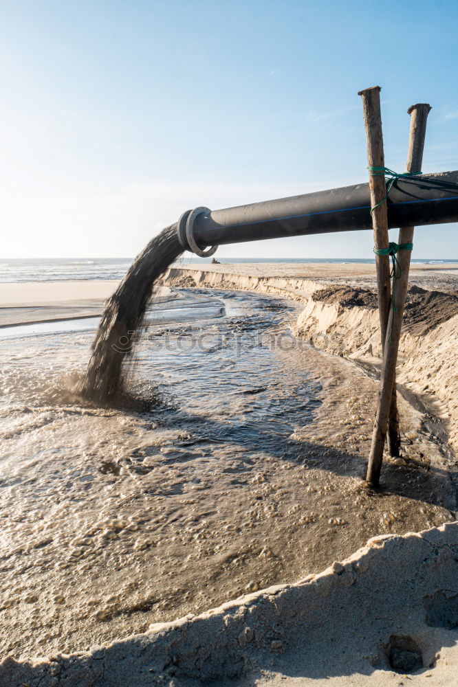 Similar – Foto Bild Strandlauf Freiheit Sonne