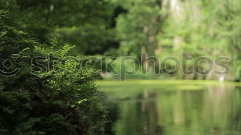 Similar – Image, Stock Photo Lost Water Spring Grass