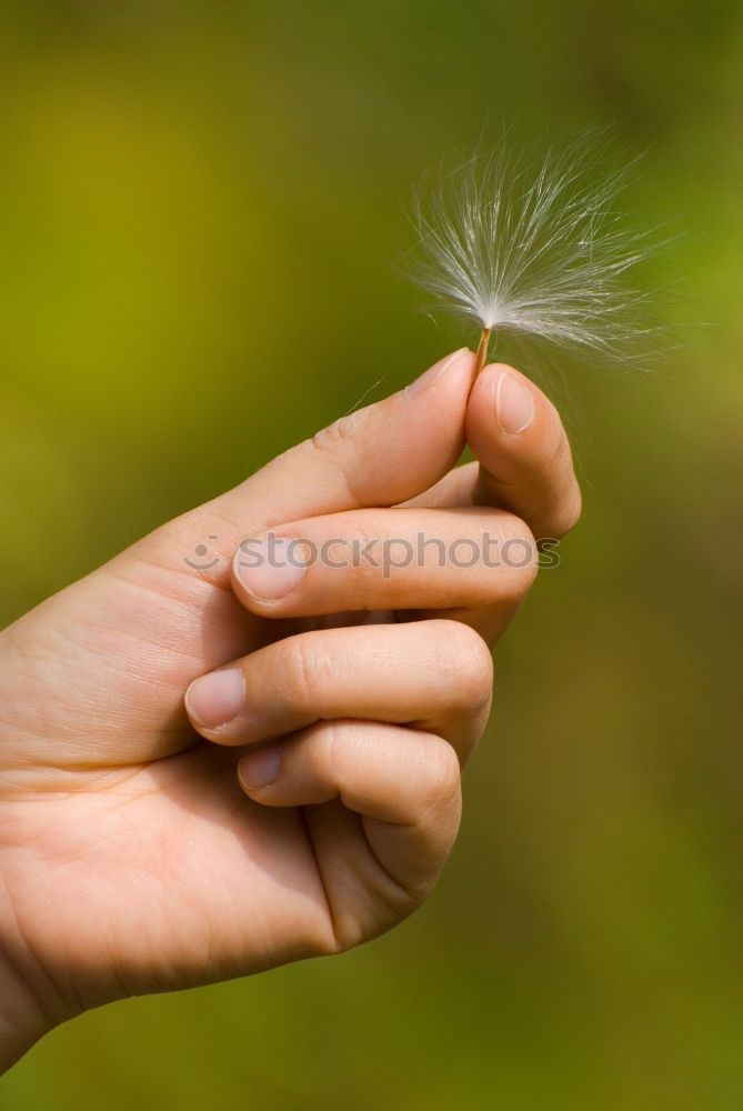 Image, Stock Photo autumn fruit Human being