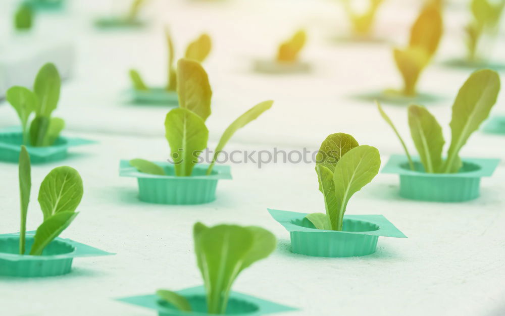 Similar – Image, Stock Photo Biomechanic (oder™: Meal)