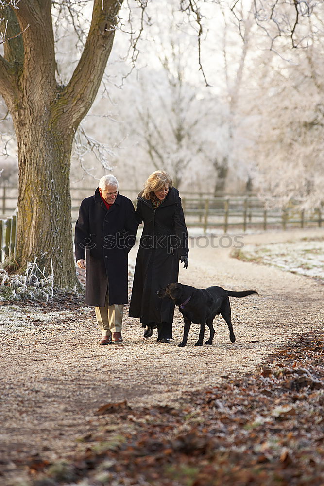 Similar – Image, Stock Photo stroll Life Well-being