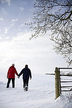 Similar – snow Masculine Man Adults