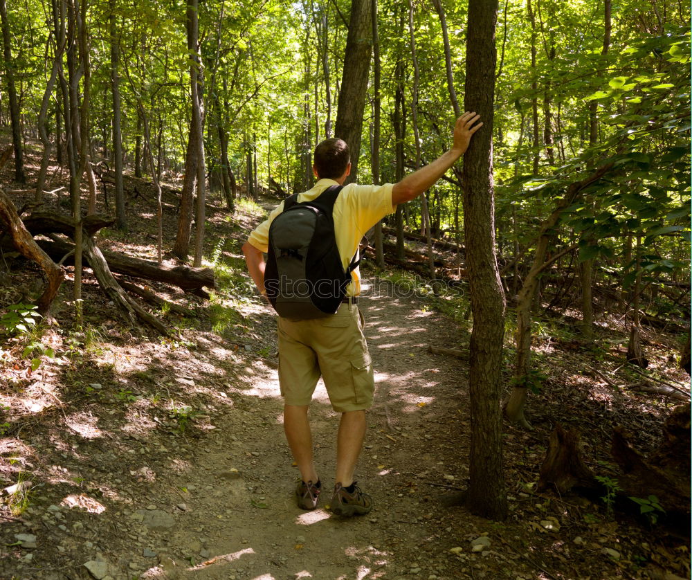 Image, Stock Photo I glaub´ I’m standing in the woods