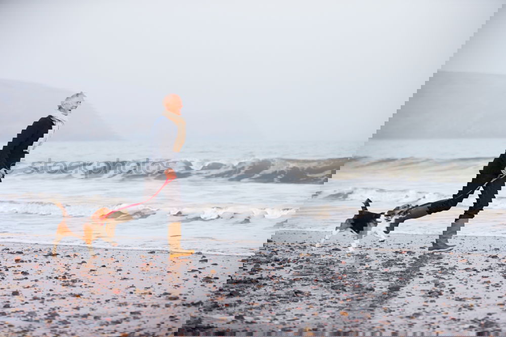 Similar – Image, Stock Photo two happy dogs having fun at the beach. Sitting by sheashore