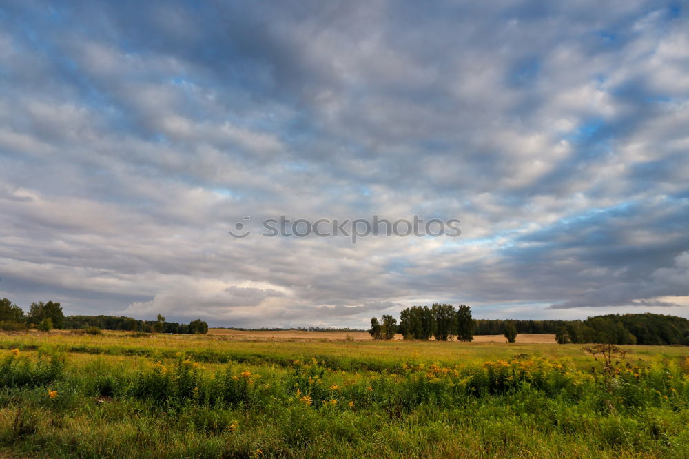 Similar – Image, Stock Photo autumn mood Autumn Field