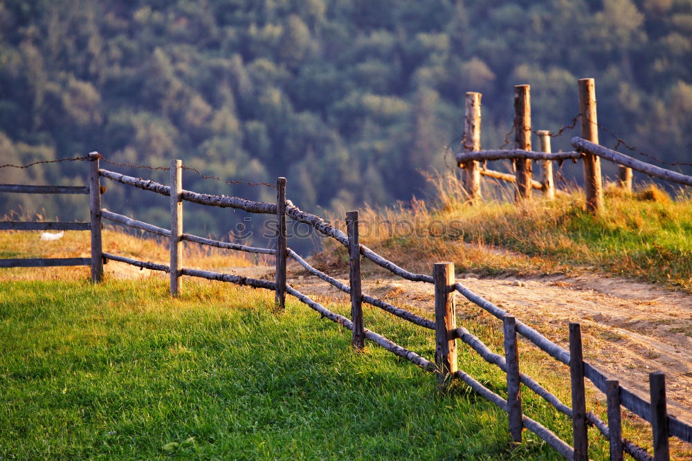 Similar – Image, Stock Photo well pipe Well Blur