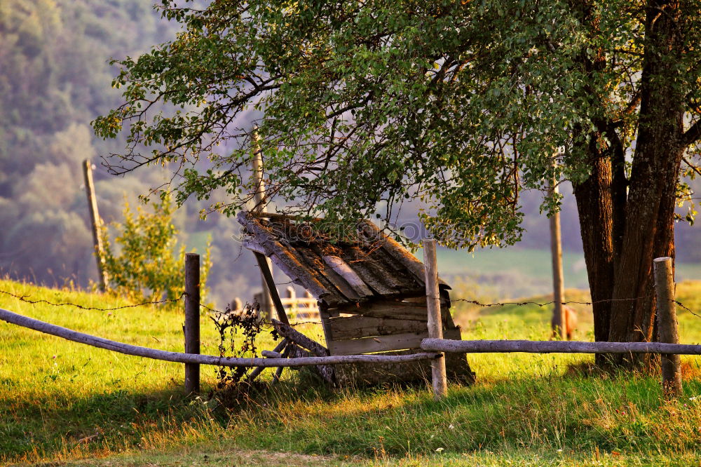 Similar – Mongolian Yurt Ger tent